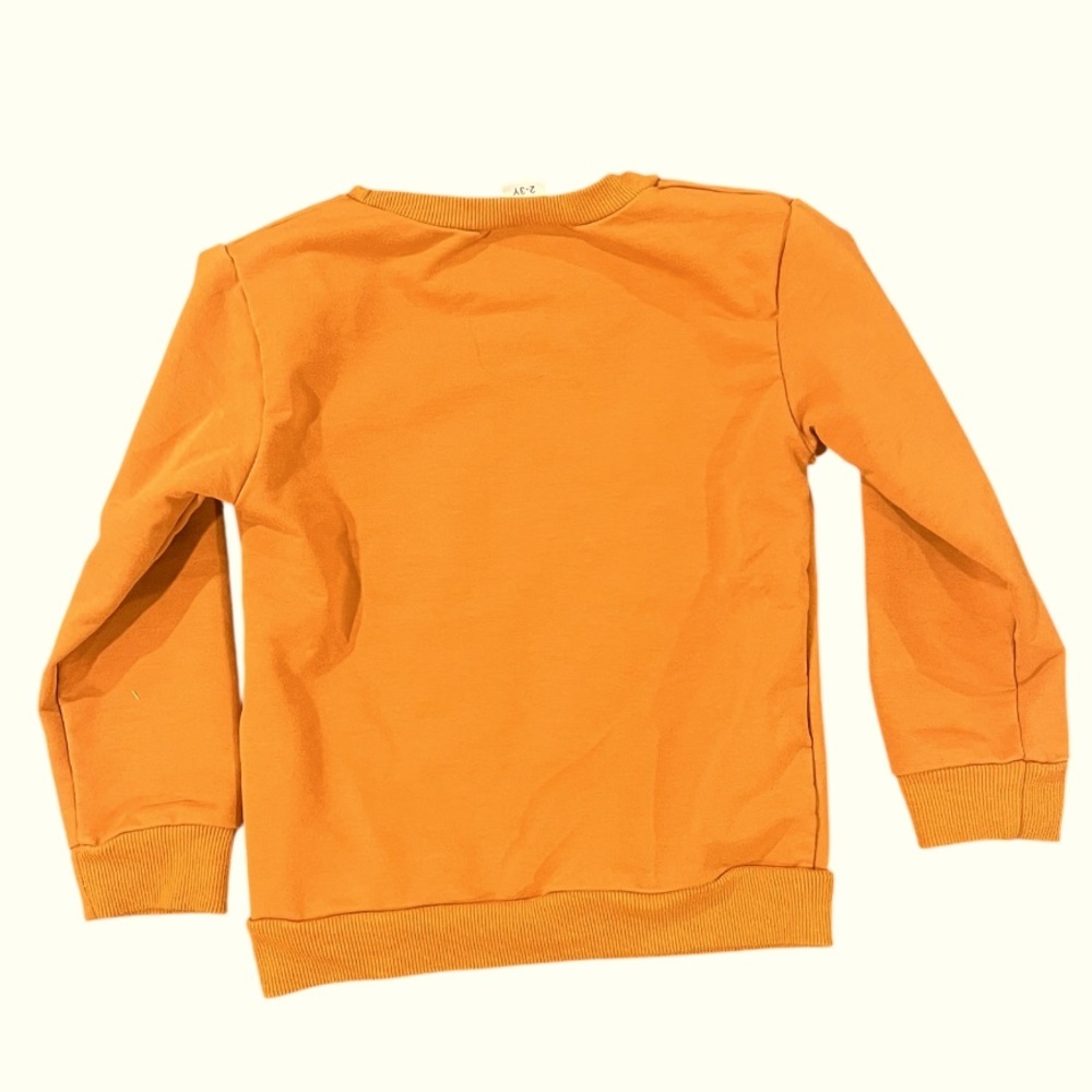 CUTE! Orange Pumpkin Sweatshirt Girls 2 yr Halloween Shirt LIKE NEW - Picture 3 of 3